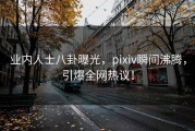 业内人士八卦曝光，pixiv瞬间沸腾，引爆全网热议！