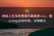 神秘人在深夜遭遇内幕震撼人心，糖心vlog全网炸锅，详情曝光