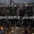 深夜猛料引发的风波：pixiv全网炸锅