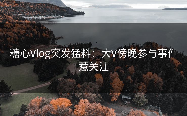 糖心Vlog突发猛料:大V傍晚参与事件惹关注 糖心Vlog突发猛料:大V傍晚参与事件惹关注