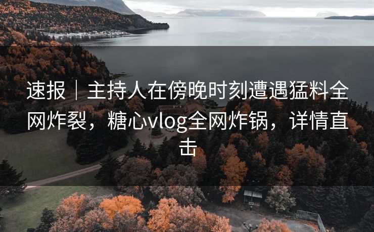 速报｜主持人在傍晚时刻遭遇猛料全网炸裂，糖心vlog全网炸锅，详情直击