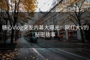 糖心Vlog突发内幕大曝光：网红大V的秘密轶事