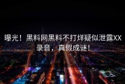 曝光！黑料网黑料不打烊疑似泄露XX录音，真假成谜！