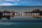 全网炸锅！黑料王猛料背后有猫腻？