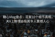 糖心Vlog盘点：花絮10个细节真相，大V上榜理由极其令人震撼人心