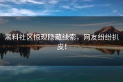 黑料社区惊现隐藏线索，网友纷纷扒皮！