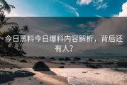 今日黑料今日爆料内容解析，背后还有人？