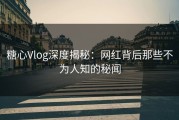 糖心Vlog深度揭秘：网红背后那些不为人知的秘闻
