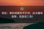 网友：黑料网黑料不打烊，这次爆得真狠，简直毁三观！