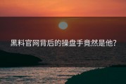 黑料官网背后的操盘手竟然是他？