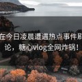 明星在今日凌晨遭遇热点事件刷爆评论，糖心vlog全网炸锅！