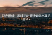 深夜爆料！黑料正能量疑似牵出幕后黑手？