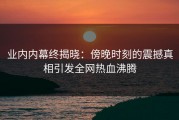 业内内幕终揭晓：傍晚时刻的震撼真相引发全网热血沸腾