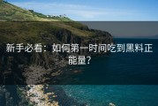 新手必看：如何第一时间吃到黑料正能量？