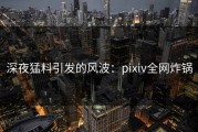 深夜猛料引发的风波：pixiv全网炸锅