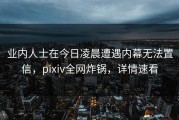 业内人士在今日凌晨遭遇内幕无法置信，pixiv全网炸锅，详情速看