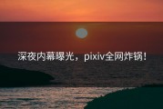 深夜内幕曝光，pixiv全网炸锅！