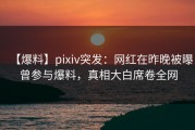 【爆料】pixiv突发：网红在昨晚被曝曾参与爆料，真相大白席卷全网