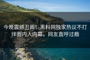今晚震撼丑闻！黑料网独家热议不打烊圈内人内幕，网友直呼过瘾