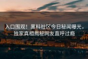 入口围观！黑料社区今日秘闻曝光，独家真相揭秘网友直呼过瘾
