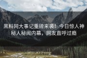 黑料网大事记重磅来袭！今日惊人神秘人秘闻内幕，网友直呼过瘾