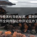 网曝今晚黑料导航秘闻，震撼网红细节全网炸裂让你评论区炸了