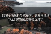 网曝今晚黑料导航秘闻，震撼网红细节全网炸裂让你评论区炸了