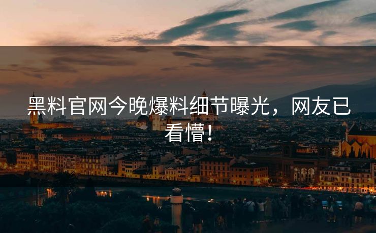 黑料官网今晚爆料细节曝光，网友已看懵！
