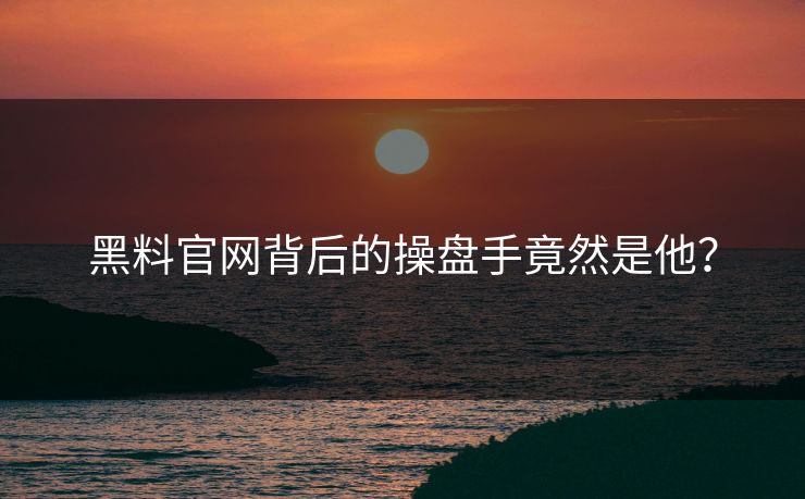 黑料官网背后的操盘手竟然是他？