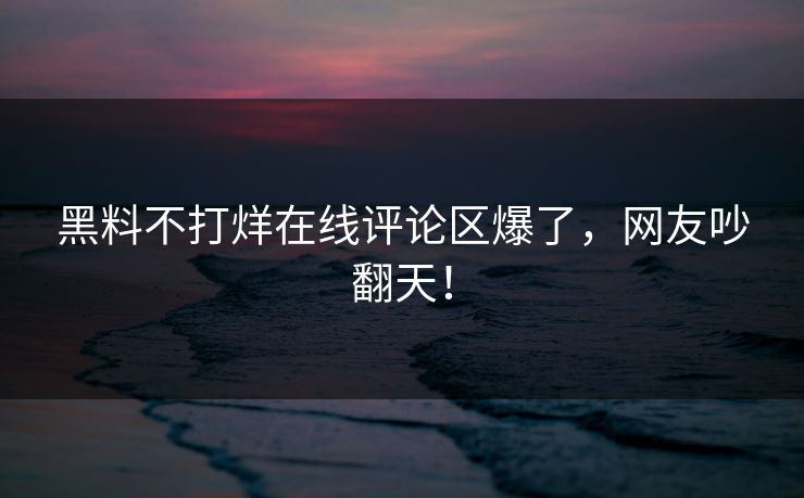 黑料不打烊在线评论区爆了，网友吵翻天！