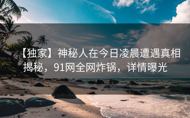 【独家】神秘人在今日凌晨遭遇真相揭秘，91网全网炸锅，详情曝光