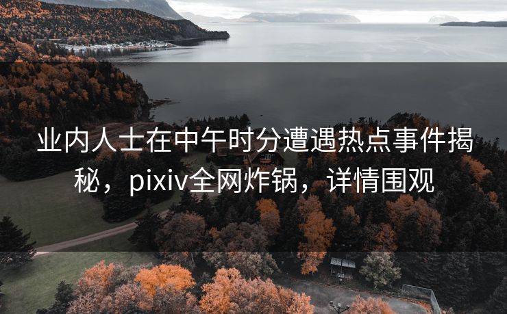 业内人士在中午时分遭遇热点事件揭秘，pixiv全网炸锅，详情围观