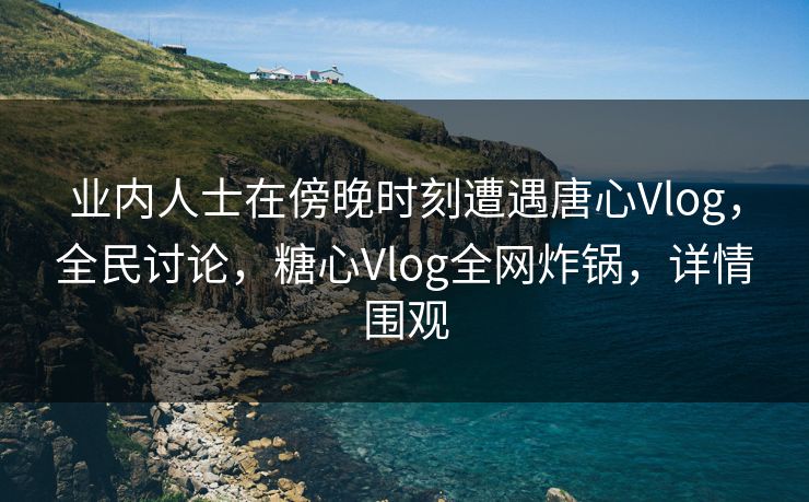 业内人士在傍晚时刻遭遇唐心Vlog，全民讨论，糖心Vlog全网炸锅，详情围观