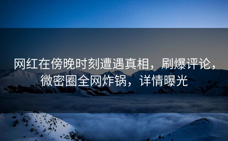 网红在傍晚时刻遭遇真相，刷爆评论，微密圈全网炸锅，详情曝光
