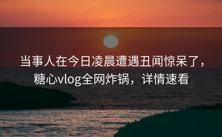 当事人在今日凌晨遭遇丑闻惊呆了，糖心vlog全网炸锅，详情速看