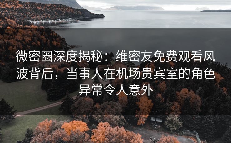 微密圈深度揭秘：维密友免费观看风波背后，当事人在机场贵宾室的角色异常令人意外
